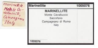 label di un campione di Marinellite della località tipo